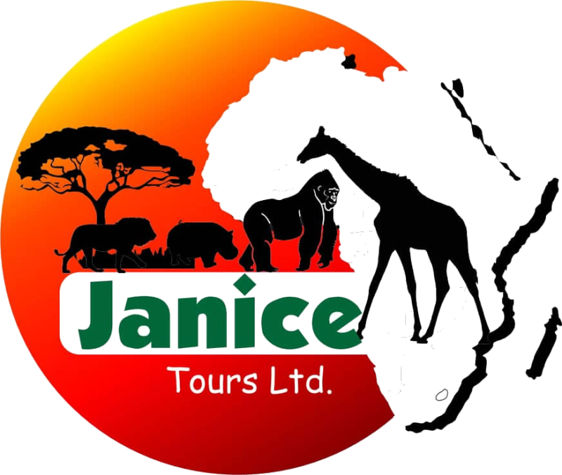 Janice Tours