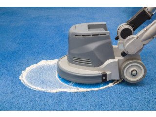 Shampoo your carpet today - Yourlocalcarpetcleaner