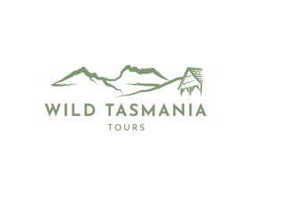 Explore Wineglass Bay and Freycinet Tour Packages
