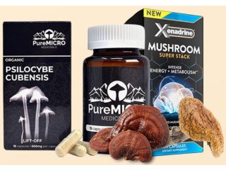 Get The Best Magic Mushrooms=