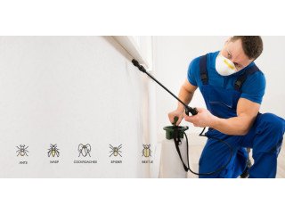 Expert in commercial pest control services