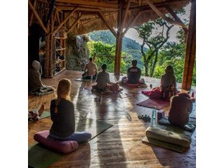 AYAHUASCA RETREATS AUSTRALIA