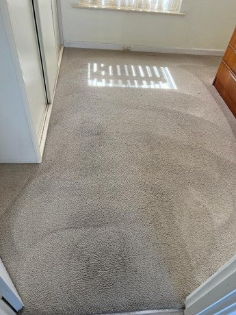 carpet-cleaning-services-near-me-big-0