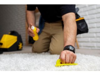 Upholstery cleaning service