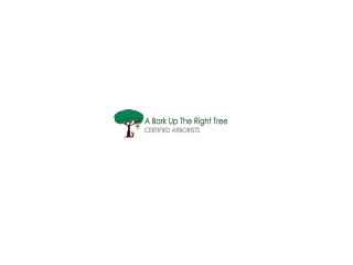 Tree Removal Adelaide | Stump Removal Adelaide