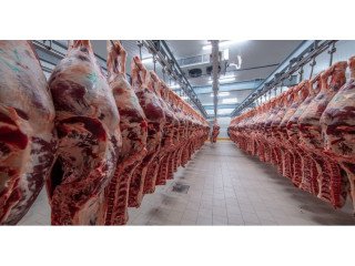 Bovine Beef wholesale, Wholesale Frozen Chocken=