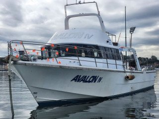 harbour-boat-tour-sydney