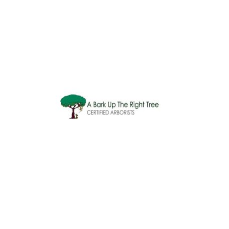 professional-tree-removal-services-by-adelaide-tree-removals-big-0