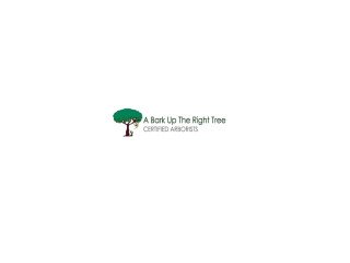 Expert Tree Removalists Adelaide Safe & Reliable Services