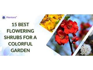 15 Best Flowering Shrubs