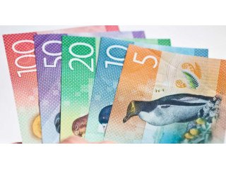 Buy Counterfeit New Zealand Dollar online-