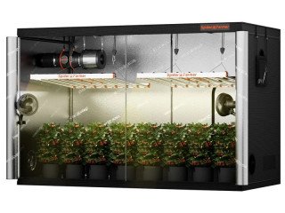 Bis zu 30% Rabatt auf Grow Box Set von Spider Farmer EU -Germany