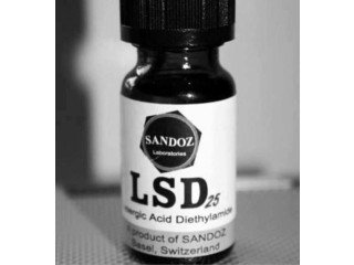 Liquid LSD for sale.