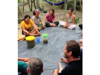 Traditional Ayahuasca Retreat Center.