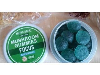 Magic Mushroom Gummies for Sale.