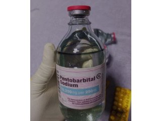 Buy Your Nembutal Pentobarbital from a Premium Reputable Source===