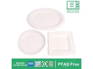 Biodegradable Bagasse Tableware: From Sugarcane to Tableware