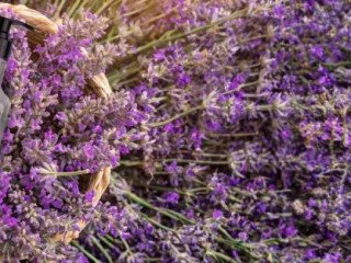 luxurious-kimirica-shower-gel-for-everyday-hydrating-indulgence