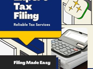 professional-help-for-itr-4-filing-and-presumptive-taxation-in-india