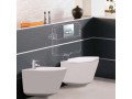 modern-bathroom-transformation-with-new-flush-tank-small-0