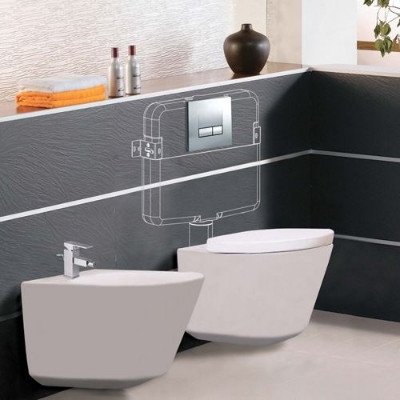 modern-bathroom-transformation-with-new-flush-tank-big-0