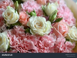 teddy-bear-dubai-premium-teddy-bears-luxury-flower-gifts-online