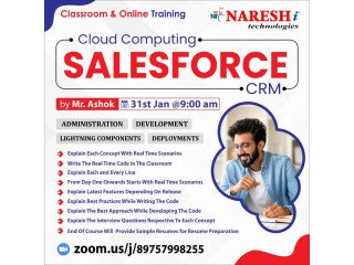 Best SalesForce CRM by Mr. Ashok Course Training in NareshIT