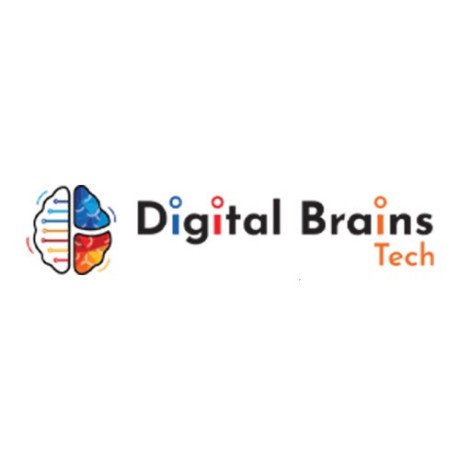 digital-brains-tech-big-0