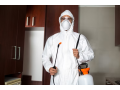 general-pest-control-services-in-bhubaneswar-small-0