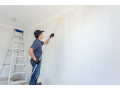 painting-services-in-bhubaneswar-small-0