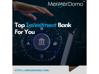 Indias Leading Investment Banking Platform | MergerDomo