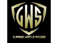 gws-gaming-world-studio-small-0