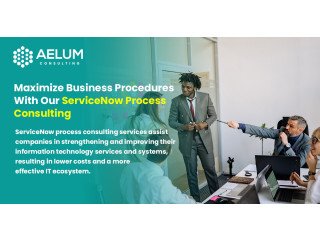 Maximize Business Procedures With Our ServiceNow Process Consulting
