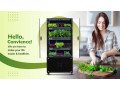 vertical-farming-in-home-small-0