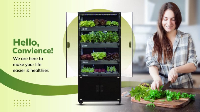 vertical-farming-in-home-big-0