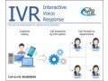 facilitate-your-business-with-ivr-small-0