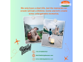 best-tour-organizer-in-new-delhi-indiatripplanners-small-0