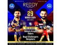 reddy-anna-book-is-the-best-choice-for-your-online-ipl-cricket-id-needs-small-0