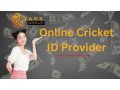 choose-online-cricket-id-provider-and-win-real-money-small-0