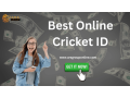 play-and-win-real-money-with-best-online-cricket-id-small-0