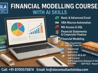 financial-modeling-certification-course-in-delhi-online-live-financial-data-analyst-training-course-in-indore-by-iim-faculty