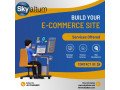 web-design-and-development-company-in-jayanagar-skyaltum-small-0