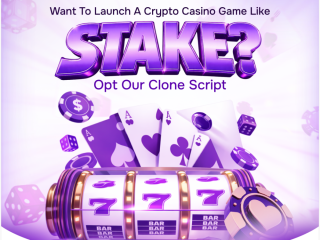 stake-clone-script-with-free-consultation-advanced-betting-features