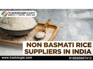 Non basmati rice suppliers in india