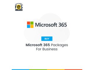 Best Office 365 Business Plans in India  Fes Cloud