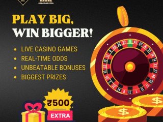 play-big-with-mahadev-book-win-bigger-every-time