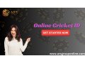 win-money-daily-with-online-cricket-id-small-0