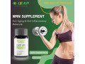 top-health-and-wellness-products-at-leap-store-india-small-0