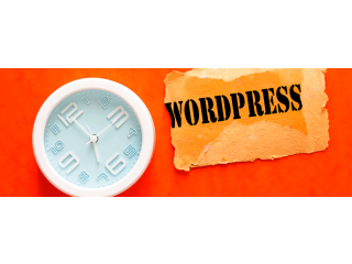 WordPress Development Services in Ahmedabad