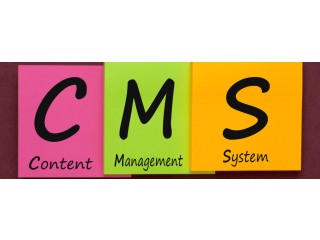 CMS Development Services in Ahmedabad